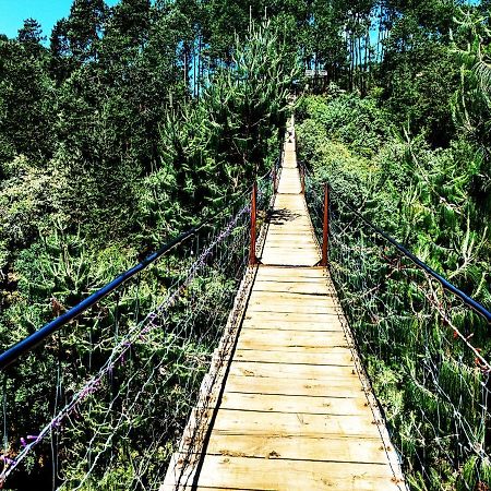 Cabaña en medio del bosque ZA Acaxochitlán Exterior foto