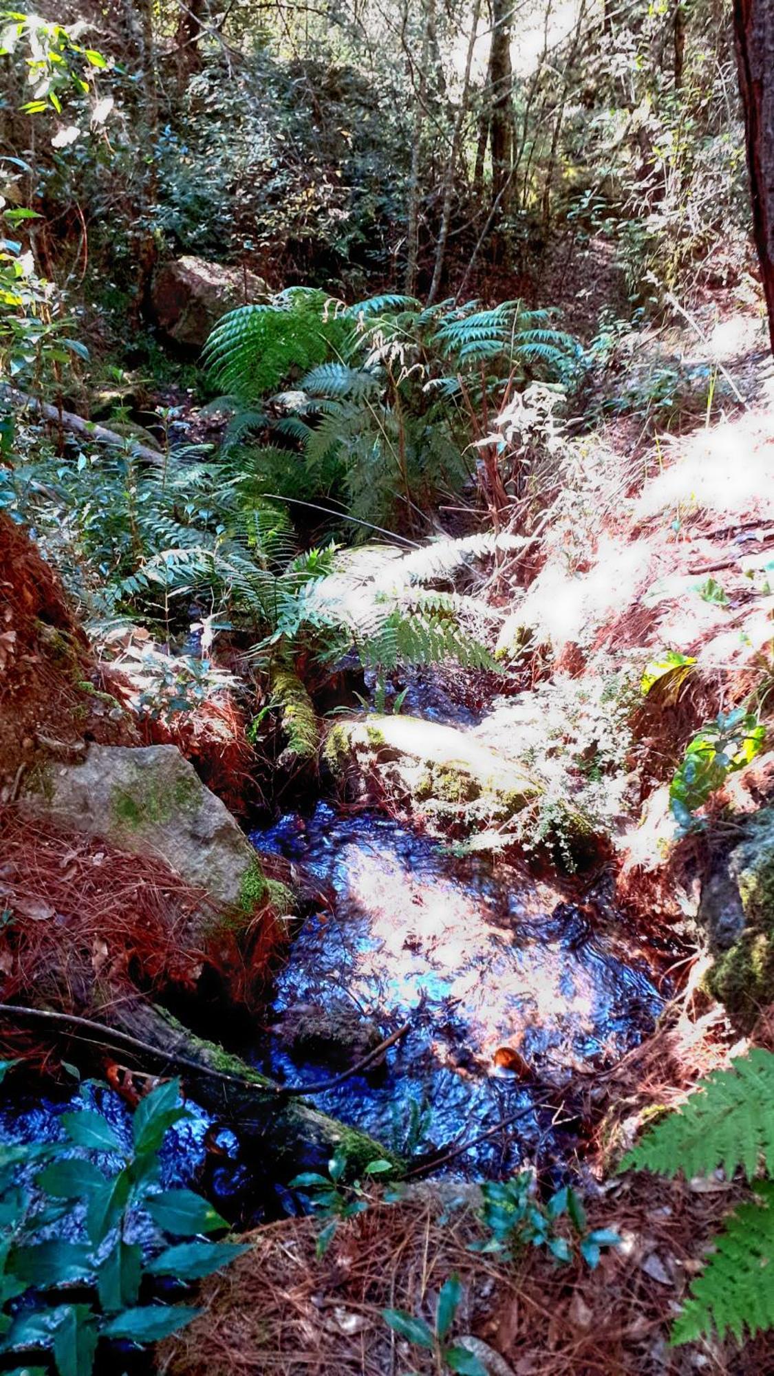 Cabaña en medio del bosque ZA Acaxochitlán Exterior foto