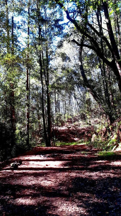 Cabaña en medio del bosque ZA Acaxochitlán Exterior foto