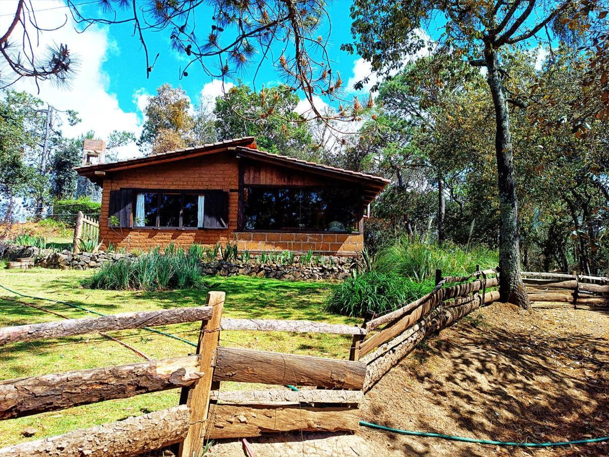 Cabaña en medio del bosque ZA Acaxochitlán Exterior foto
