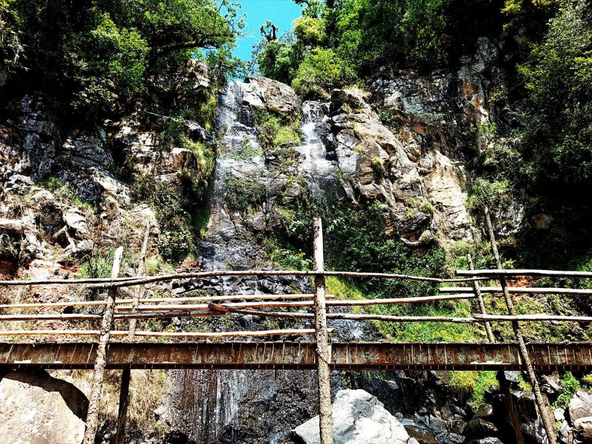 Cabaña en medio del bosque ZA Acaxochitlán Exterior foto