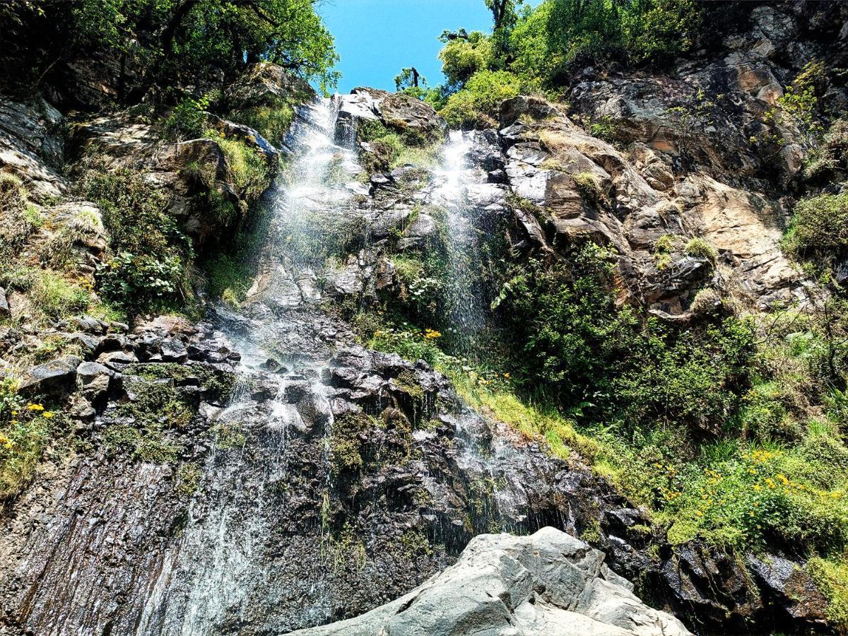 Cabaña en medio del bosque ZA Acaxochitlán Exterior foto